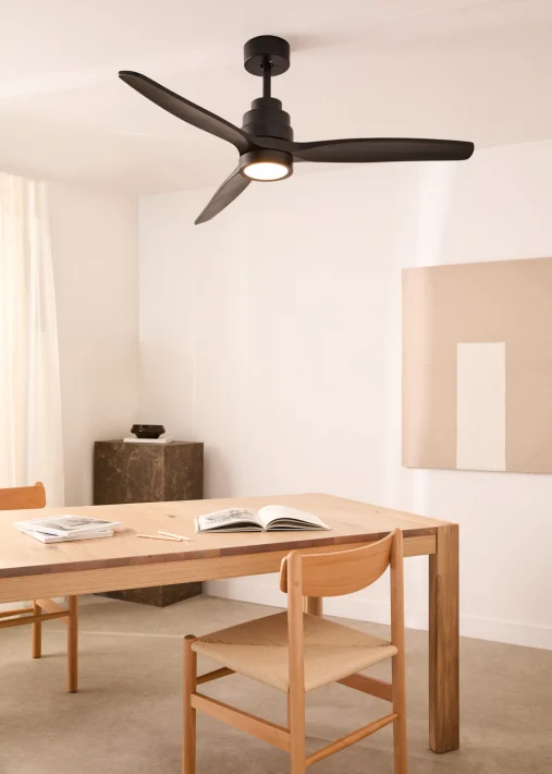 Ventilateur de plafond dans un séjour