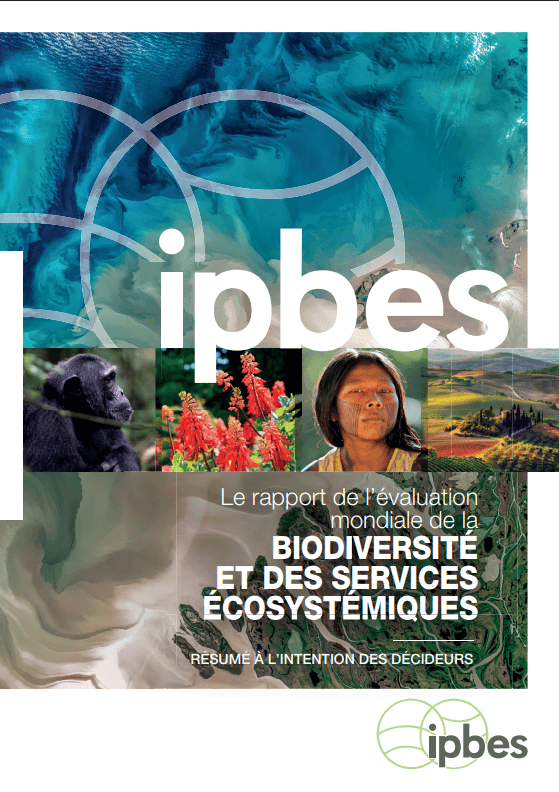 Couverture du résumé à l'intention des décideurs du rapport de l'évaluation mondiale de la biodiversité et des services écosystémiques (IPBES)