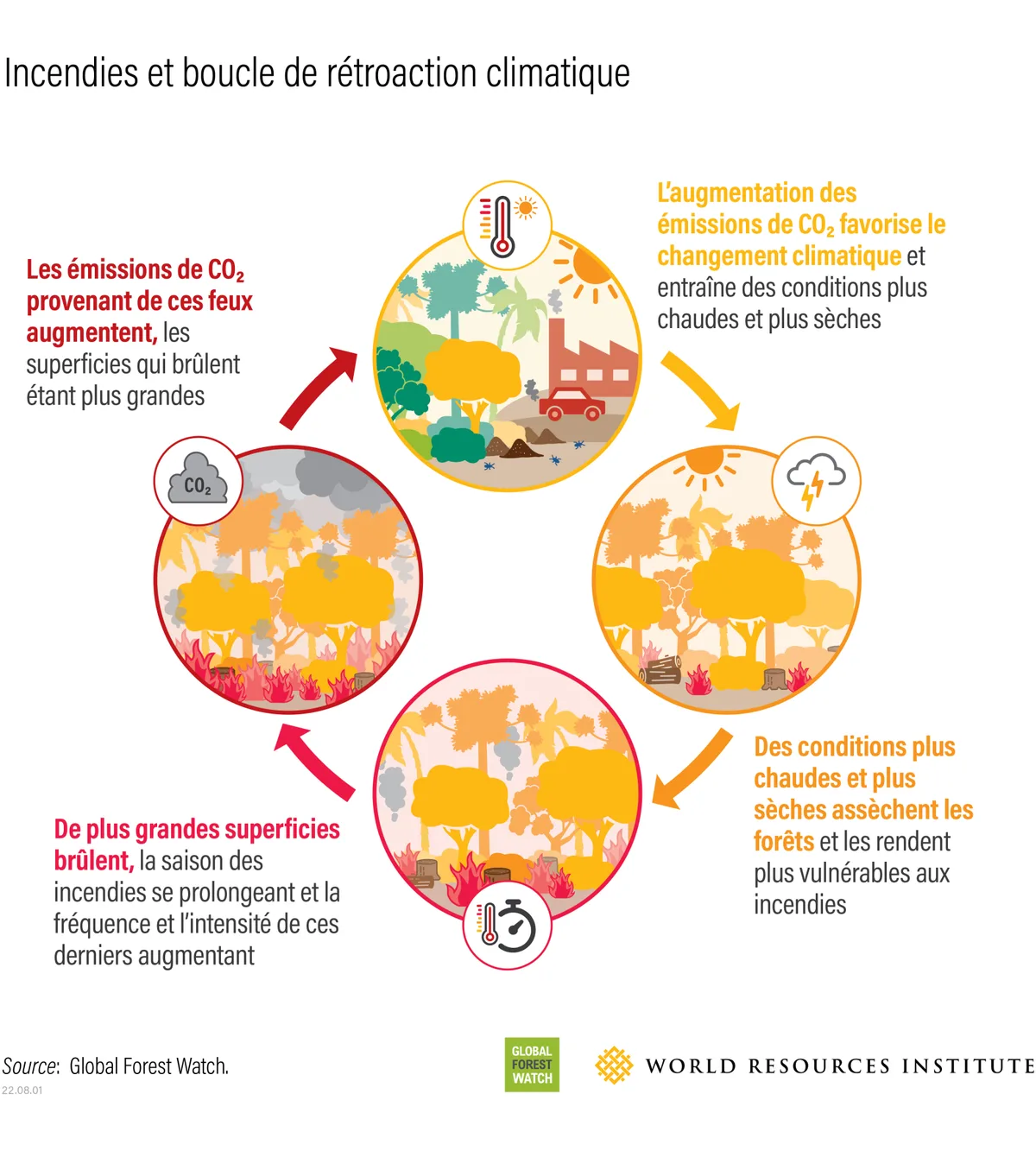 Infographie : incendies et boucle de rétroaction climatique (Global Forest Watch, World Resources Institute)