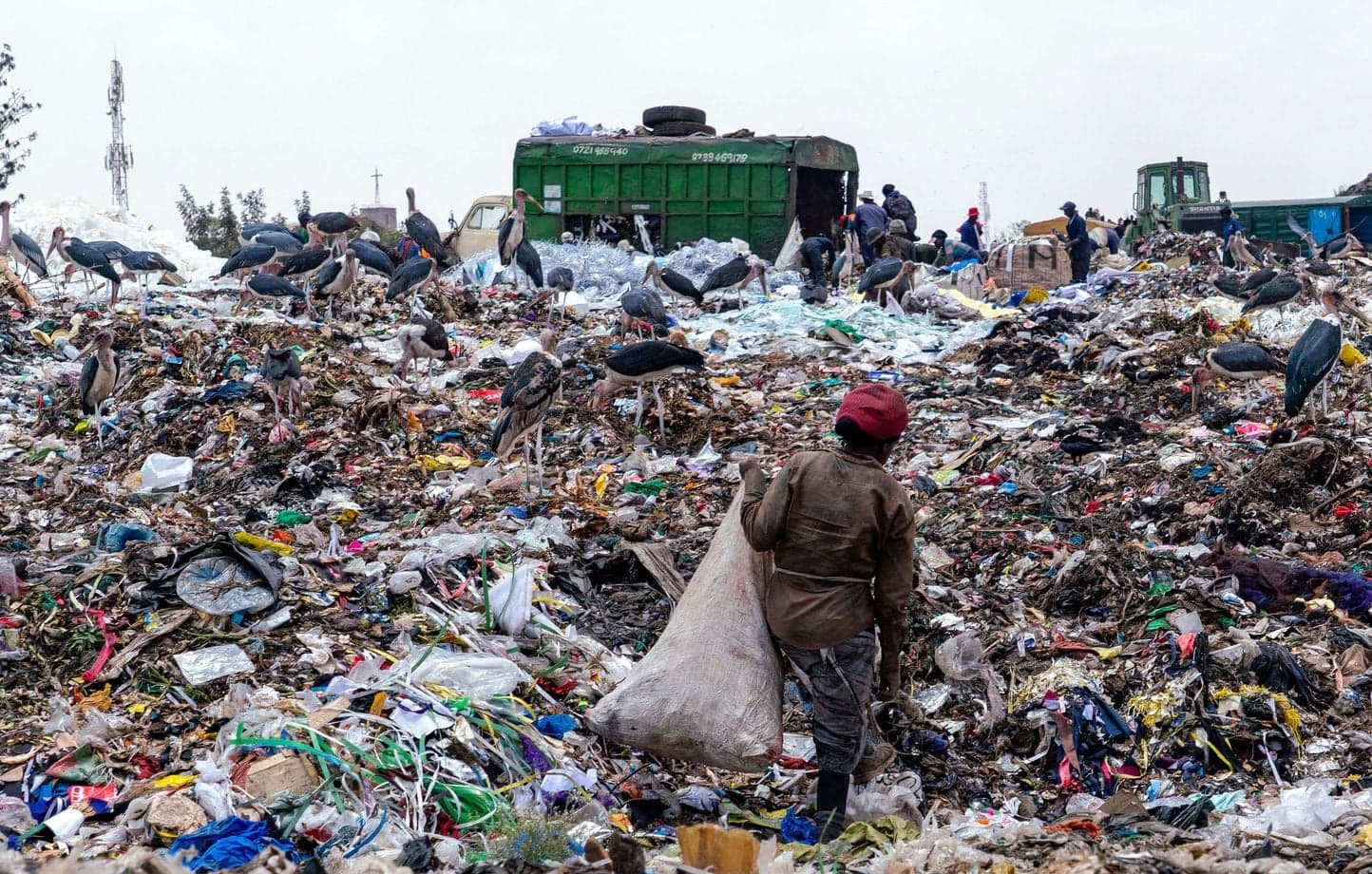 Décharge à ciel ouvert au Kenya : un homme trie à la main des montagnes de textiles et de plastiques, au milieu des marabouts.