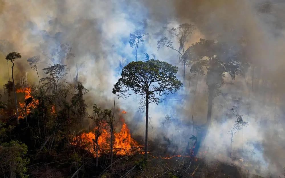 Forêt amazonienne en train de brûler, flammes et fumée