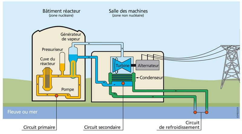 Les trois circuits d'un réacteur à eau pressurisée : cuve, pressuriseur, pompe et générateur de vapeur dans le bâtiment réacteur, turbine, alternateur et condenseur en salle des machines, puis le circuit de refroidissement vers le fleuve ou la mer.