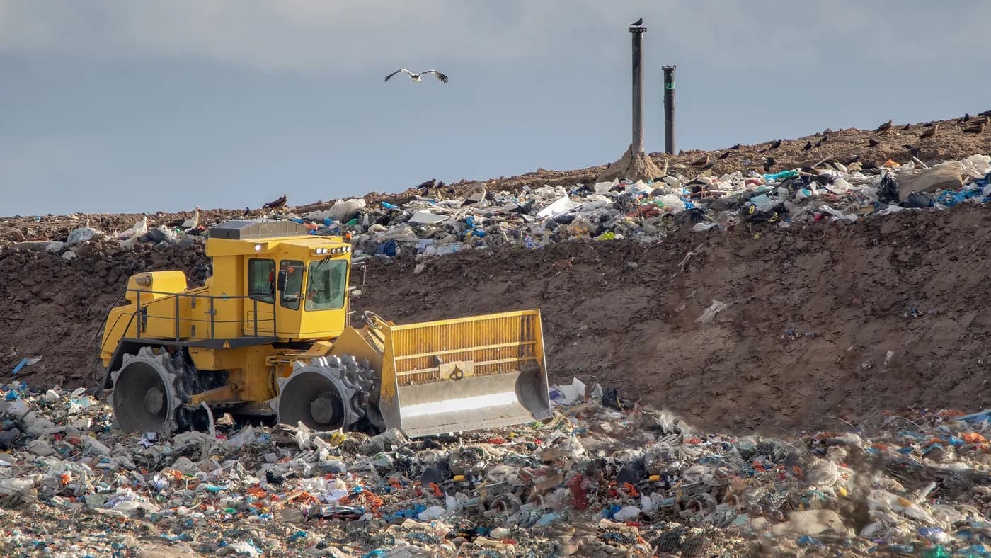 Bulldozer compactant des déchets dans une alvéole d'un centre d'enfouissement, avant recouvrement par de la terre
