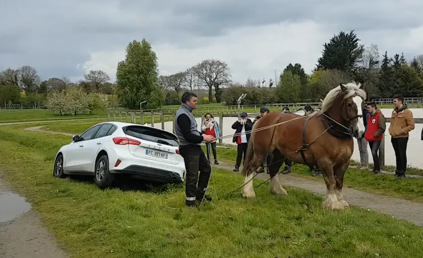 Un cheval de trait attelé tire une voiture blanche sortie de la route, guidé par un homme, devant des spectateurs.