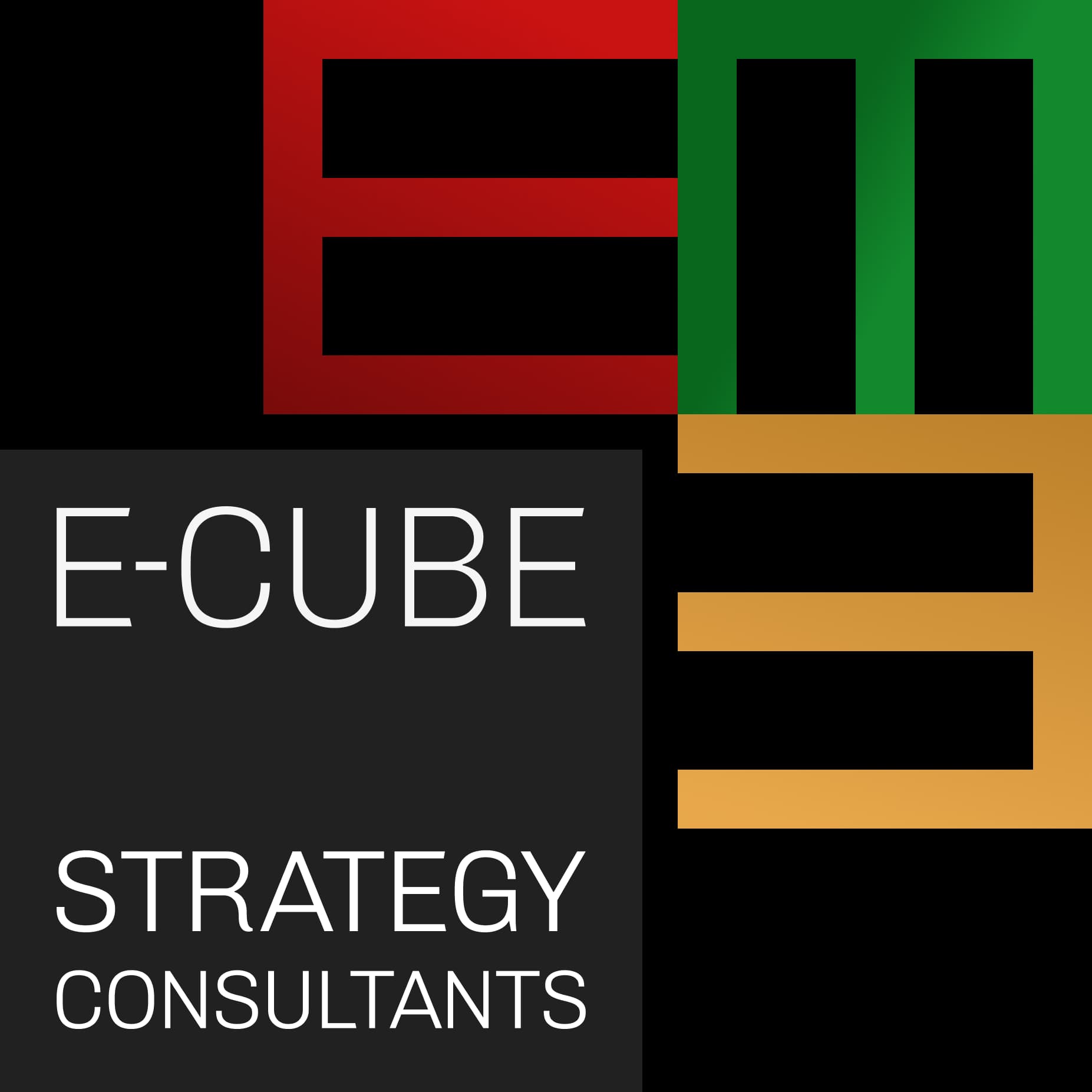 Logo E-CUBE Strategy Consultants